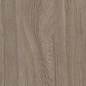 Meiche – Quercia