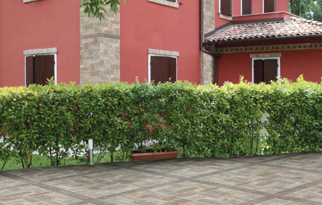 Muro di Siena – Beige 31X62