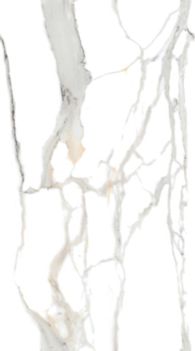 Marmi – M Continua Calacatta Gold 60×120