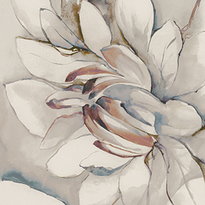 Decori – Carta da parati Whisper A+B 60X120