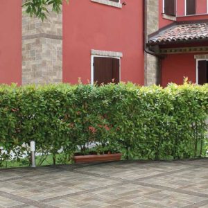 Muro di Siena - Beige 31X62