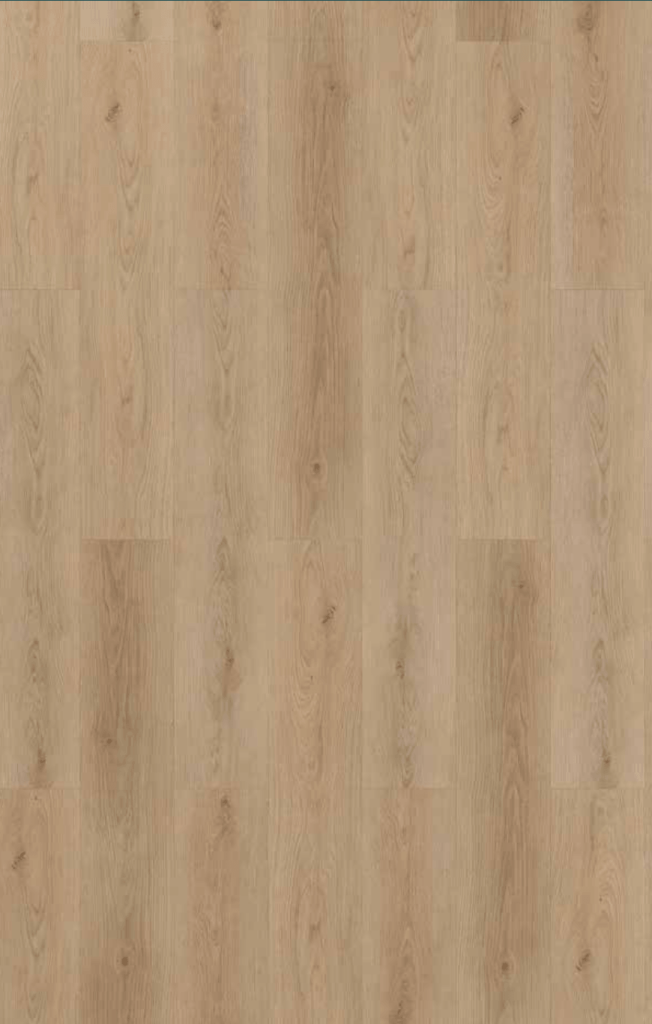SPC – Living Sand 22,8×122