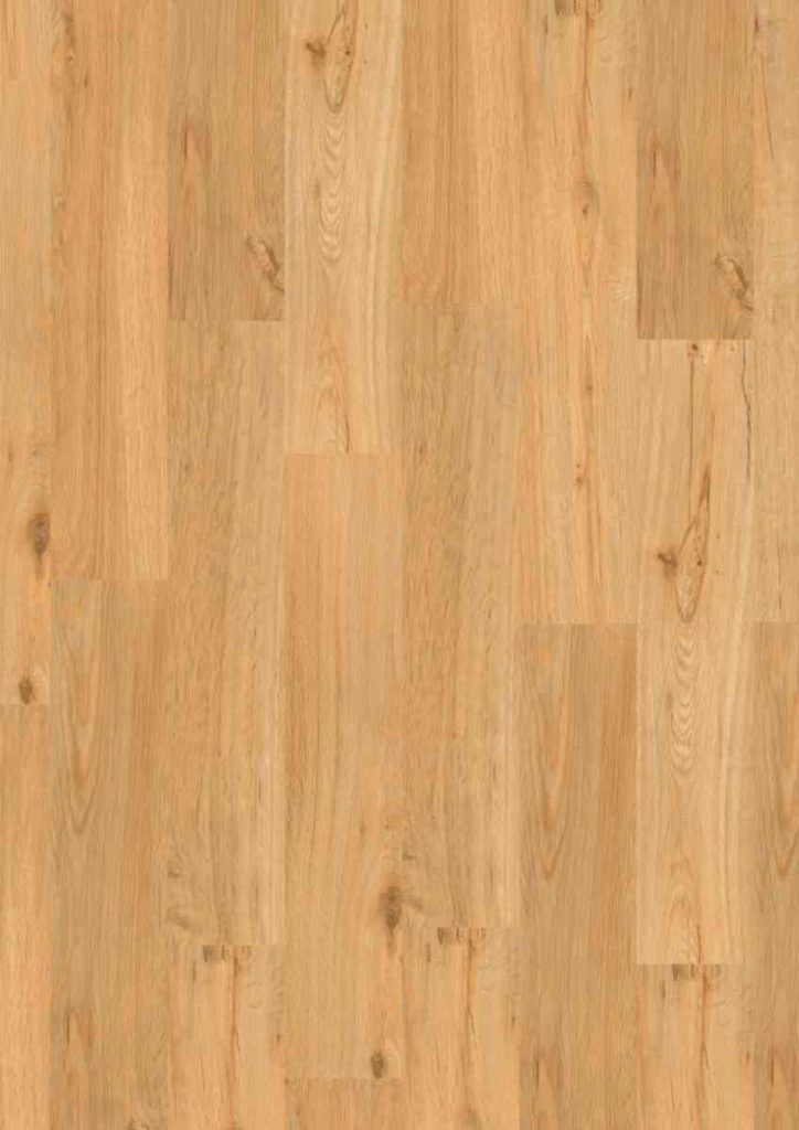 SPC – Sakia 22,9×149,20